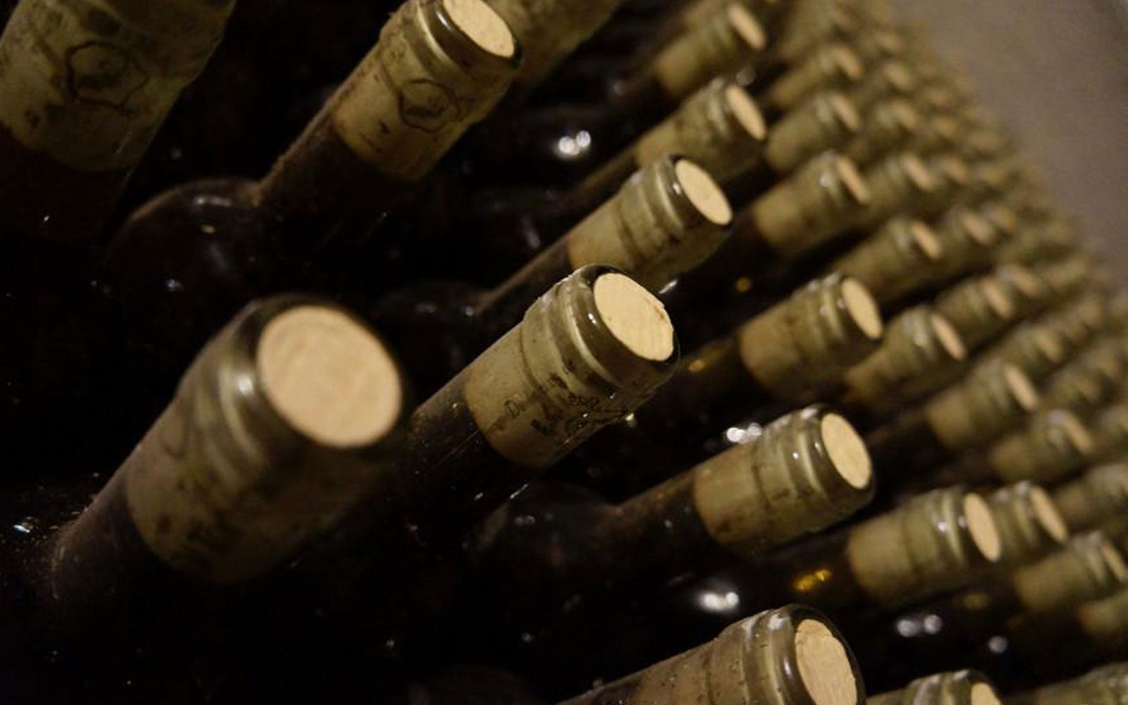 Why Do Open Bottles of Wine Go Bad?